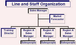 Business Organizations‎